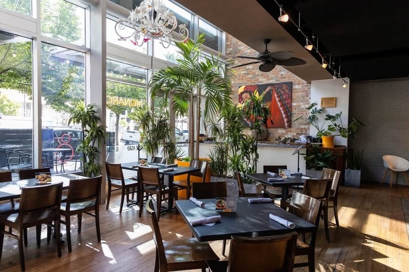 Bright, modern restaurant interior with dark tables, wooden chairs, large windows, and lush green plants.