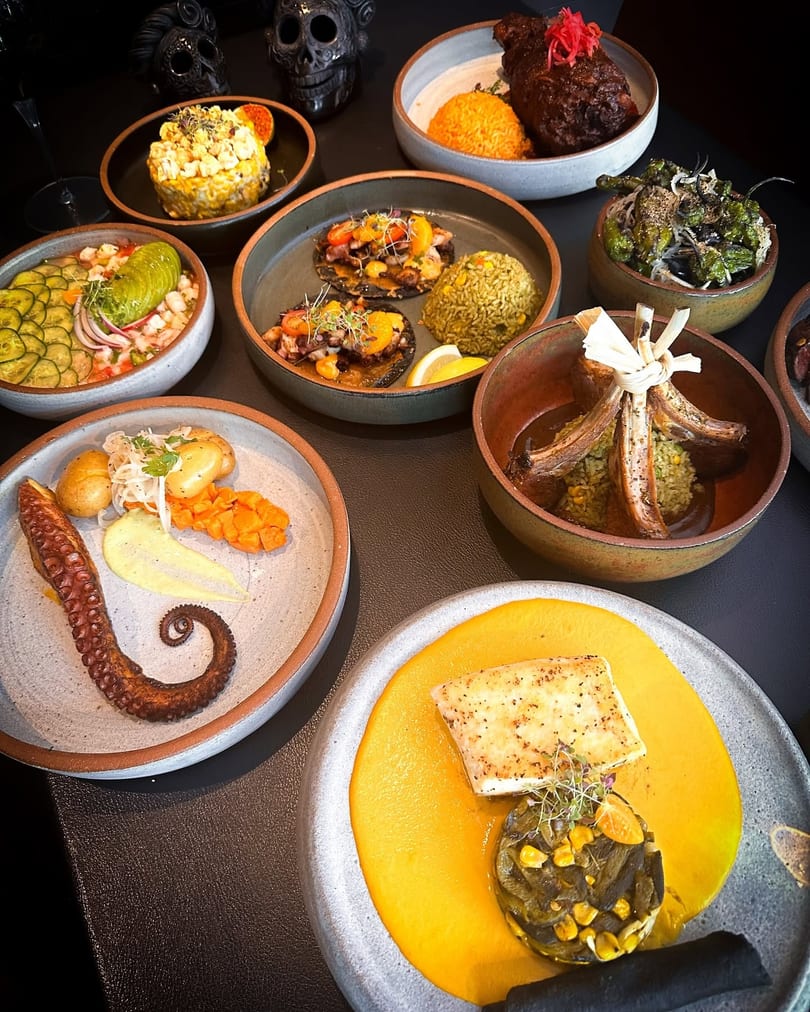 An overhead view of a table laden with various gourmet dishes, including seafood, meats, and rice.